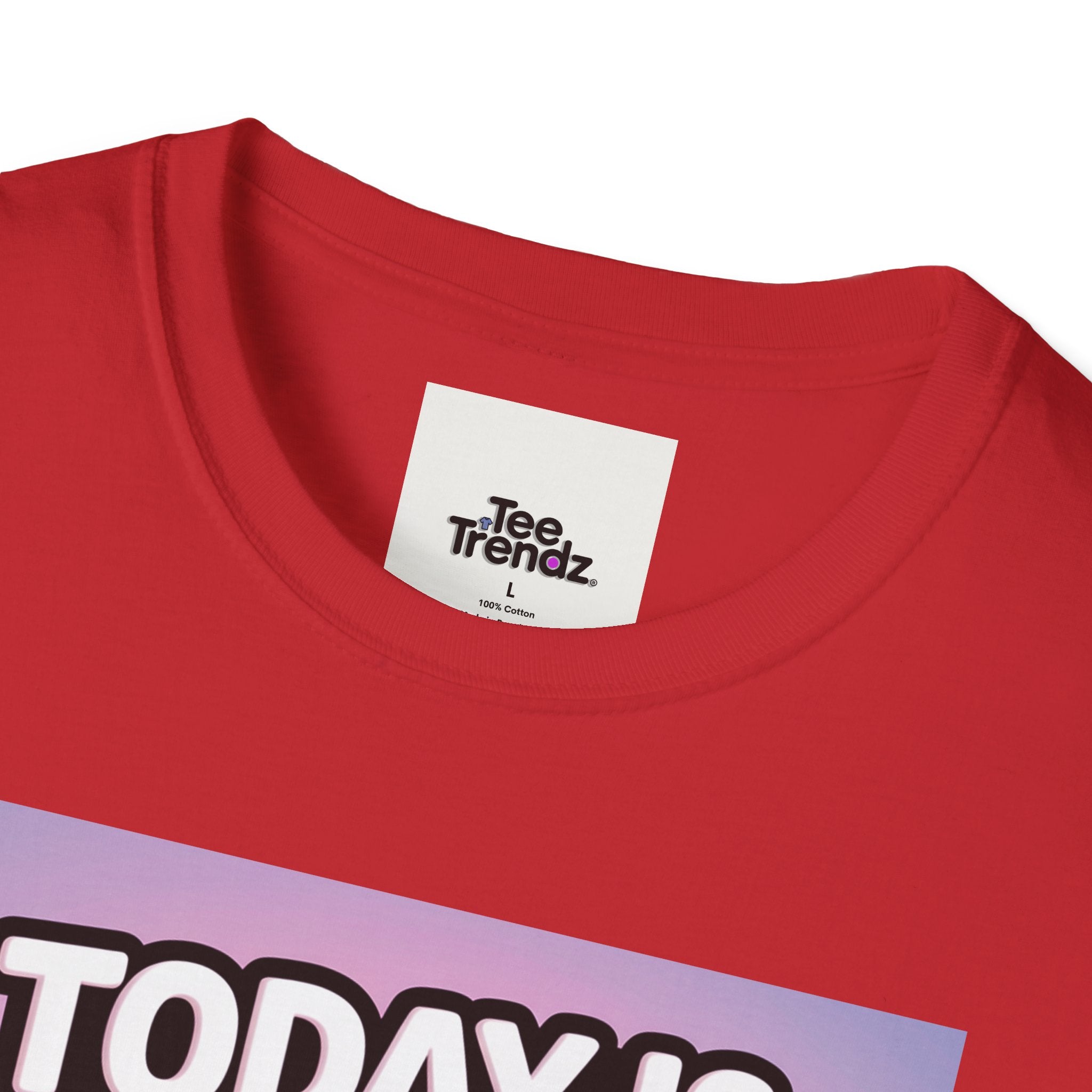 Funny Graphic T-Shirt – "Today Is Slap An Idiot Day" Cartoon Duck Tee