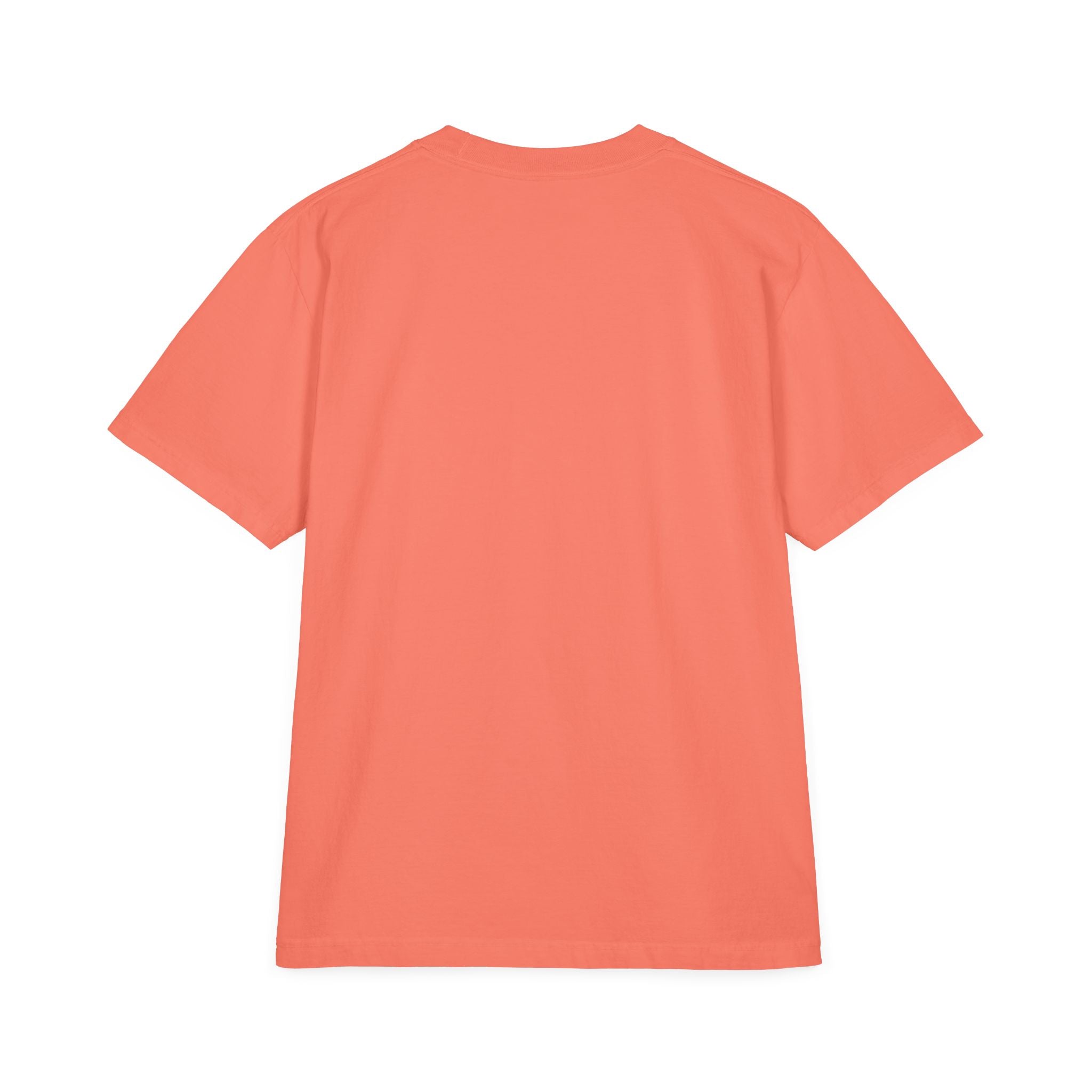 Later Skateboard Lion T-Shirt — "Later" Graphic Tee for Summer Vibes