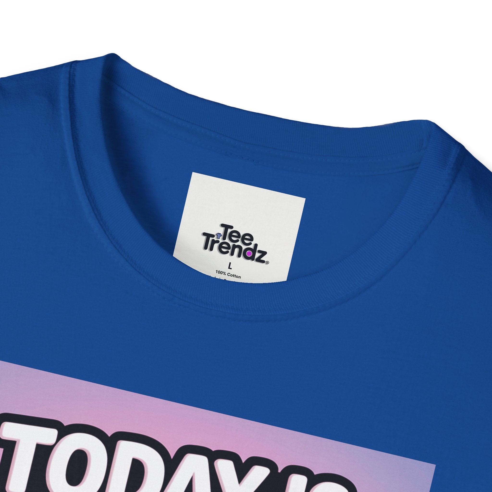 Funny Graphic T-Shirt – "Today Is Slap An Idiot Day" Cartoon Duck Tee