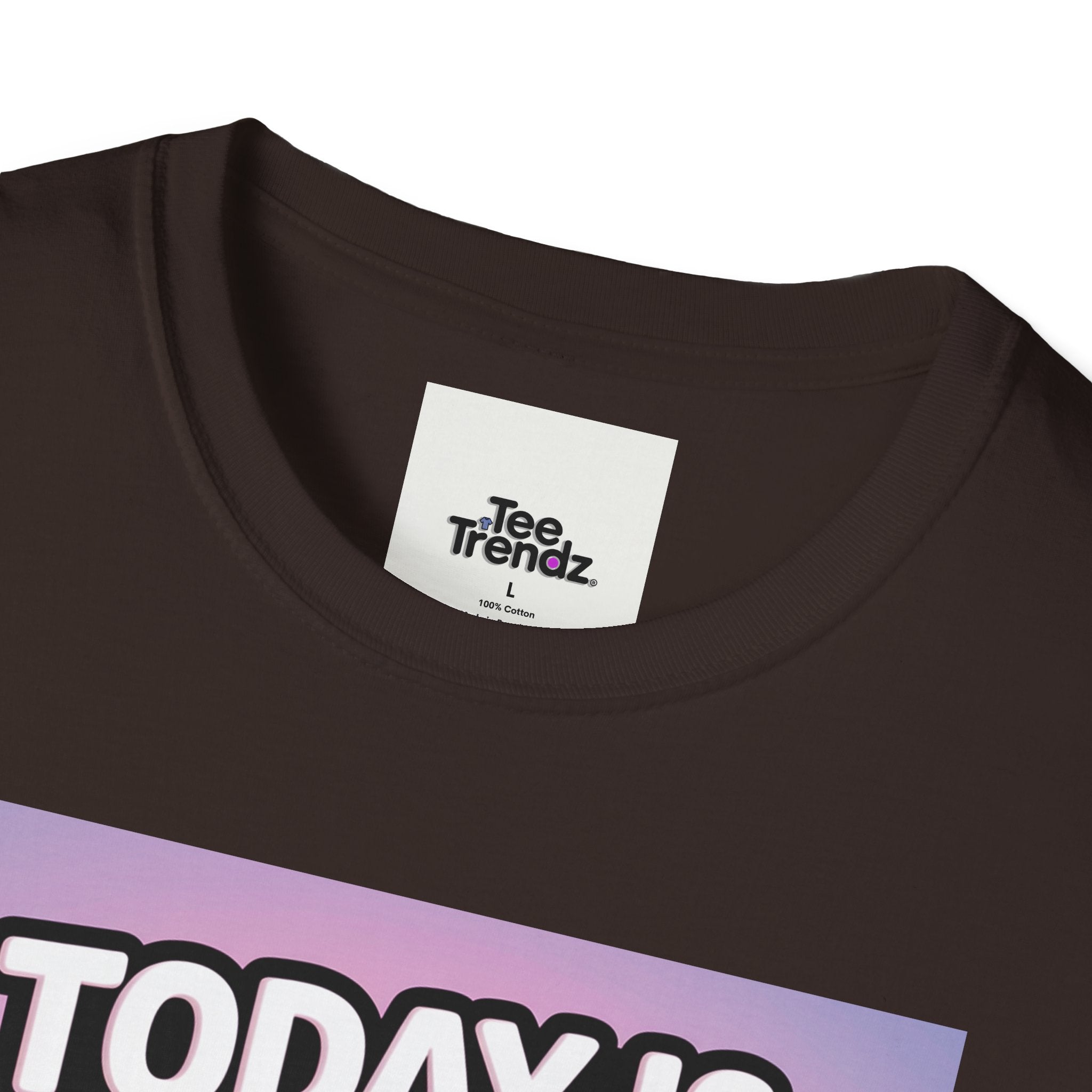 Funny Graphic T-Shirt – "Today Is Slap An Idiot Day" Cartoon Duck Tee