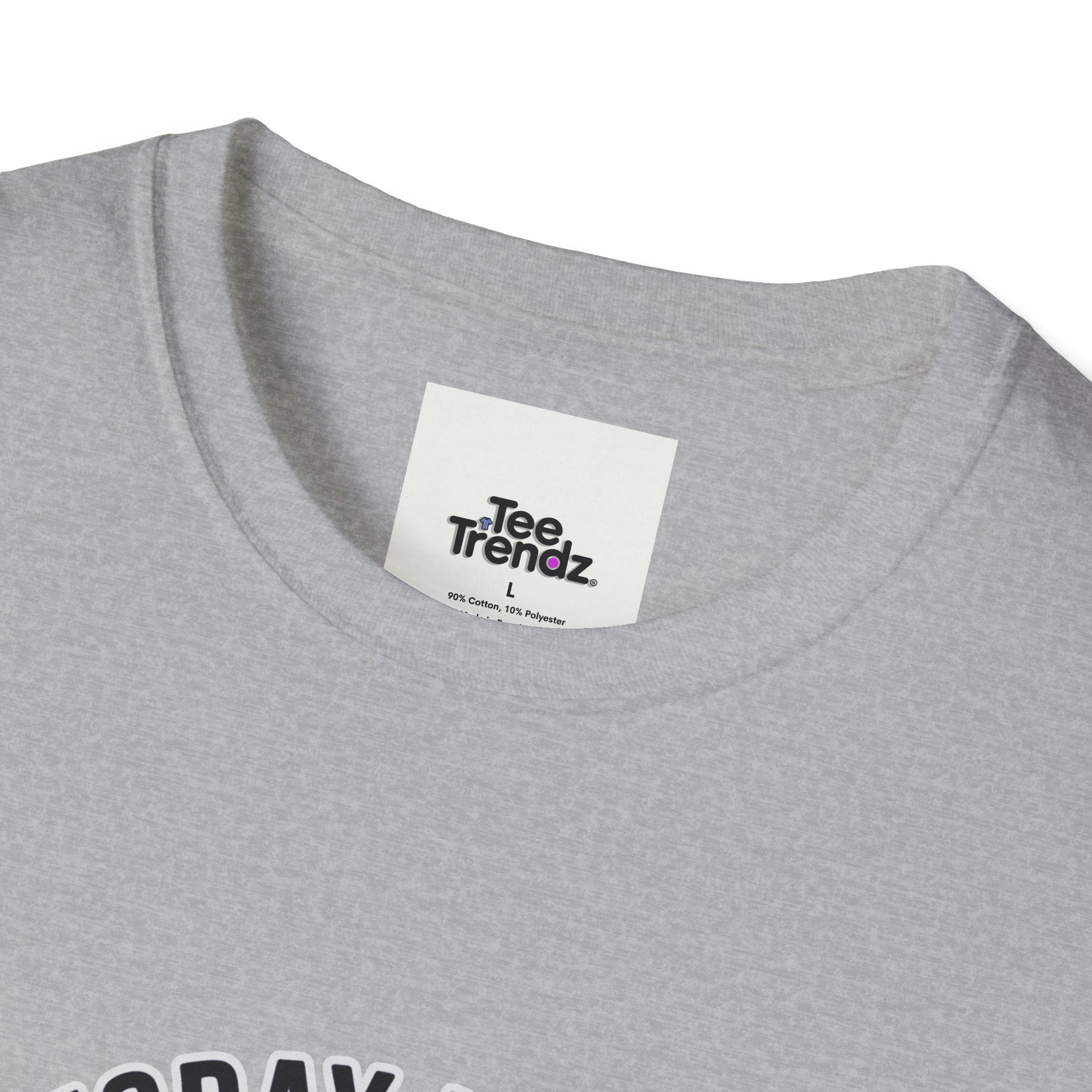 Serious Goose T-Shirt — "Today I'm a Serious Goose" Funny Graphic Tee