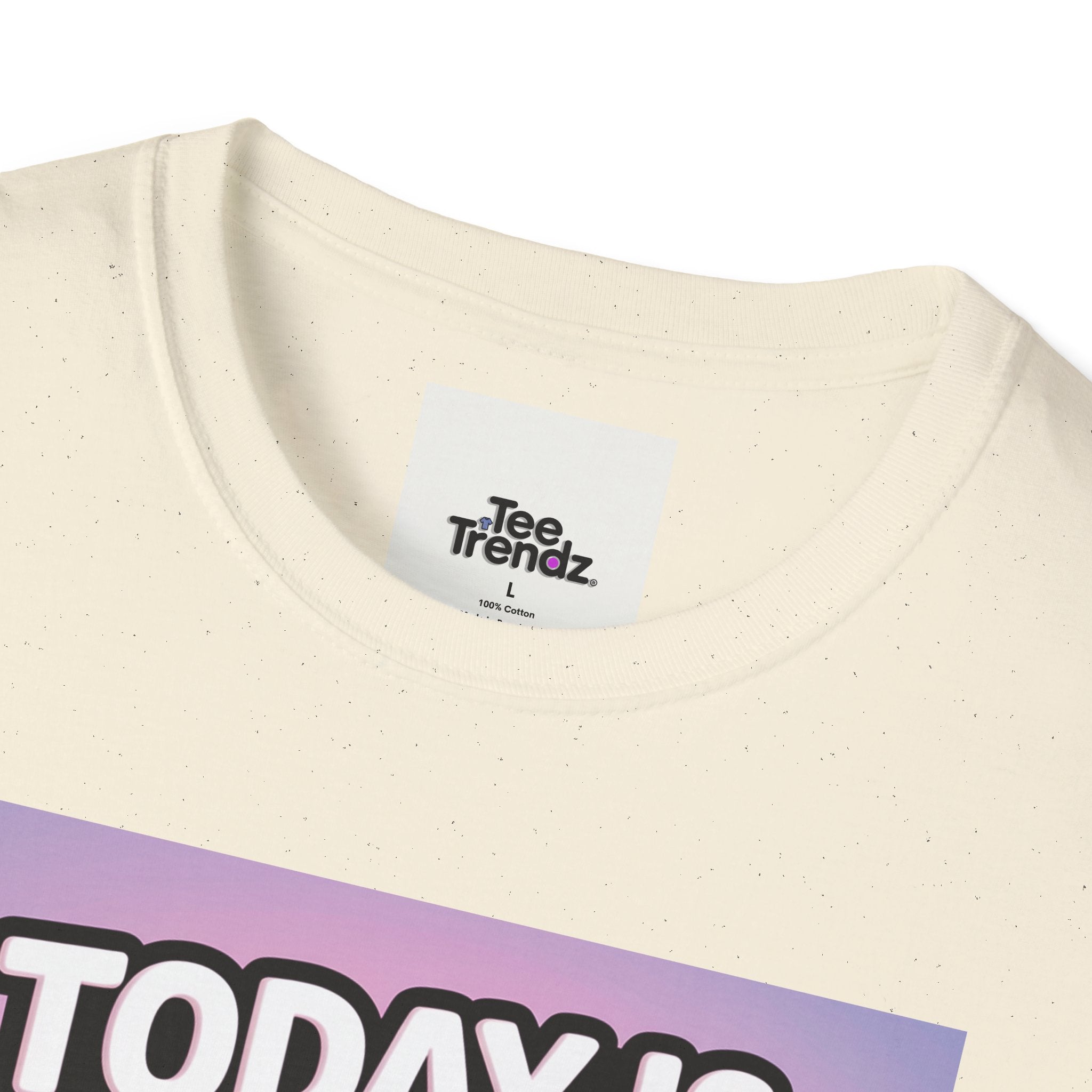 Funny Graphic T-Shirt – "Today Is Slap An Idiot Day" Cartoon Duck Tee
