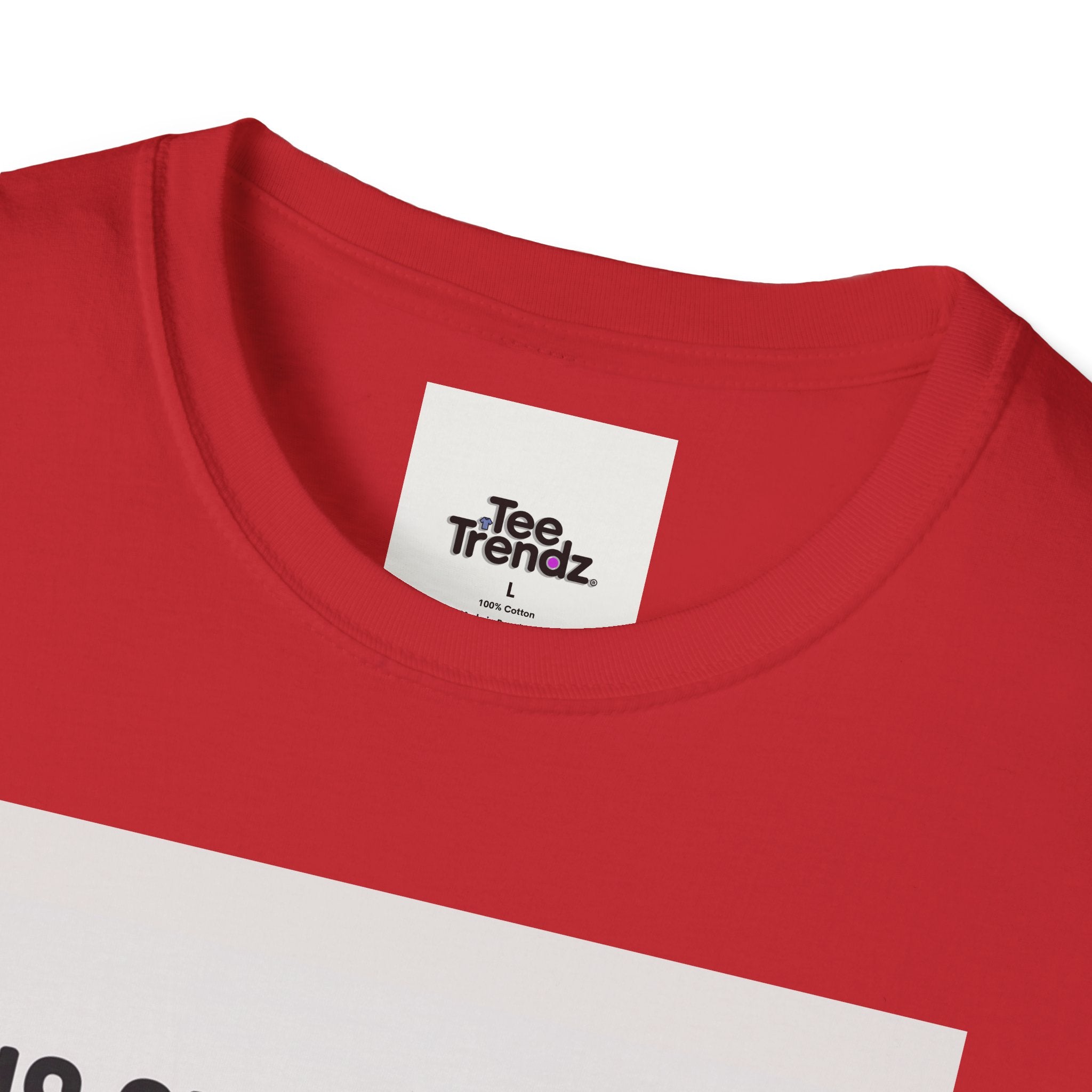 Funny Chicken T-Shirt — "This Shirt Is Cool Because There's A Chicken On It" Graphic Tee