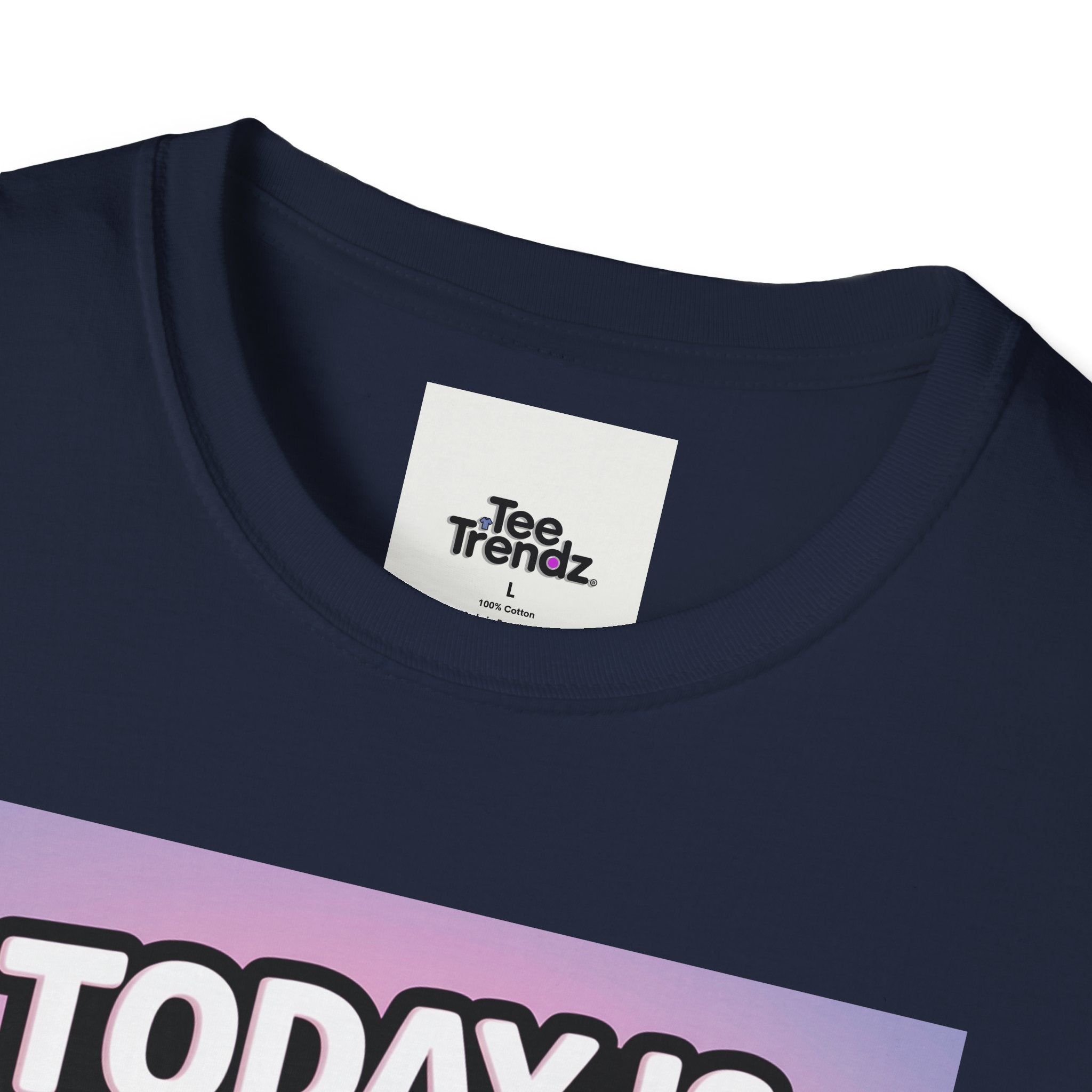 Funny Graphic T-Shirt – "Today Is Slap An Idiot Day" Cartoon Duck Tee