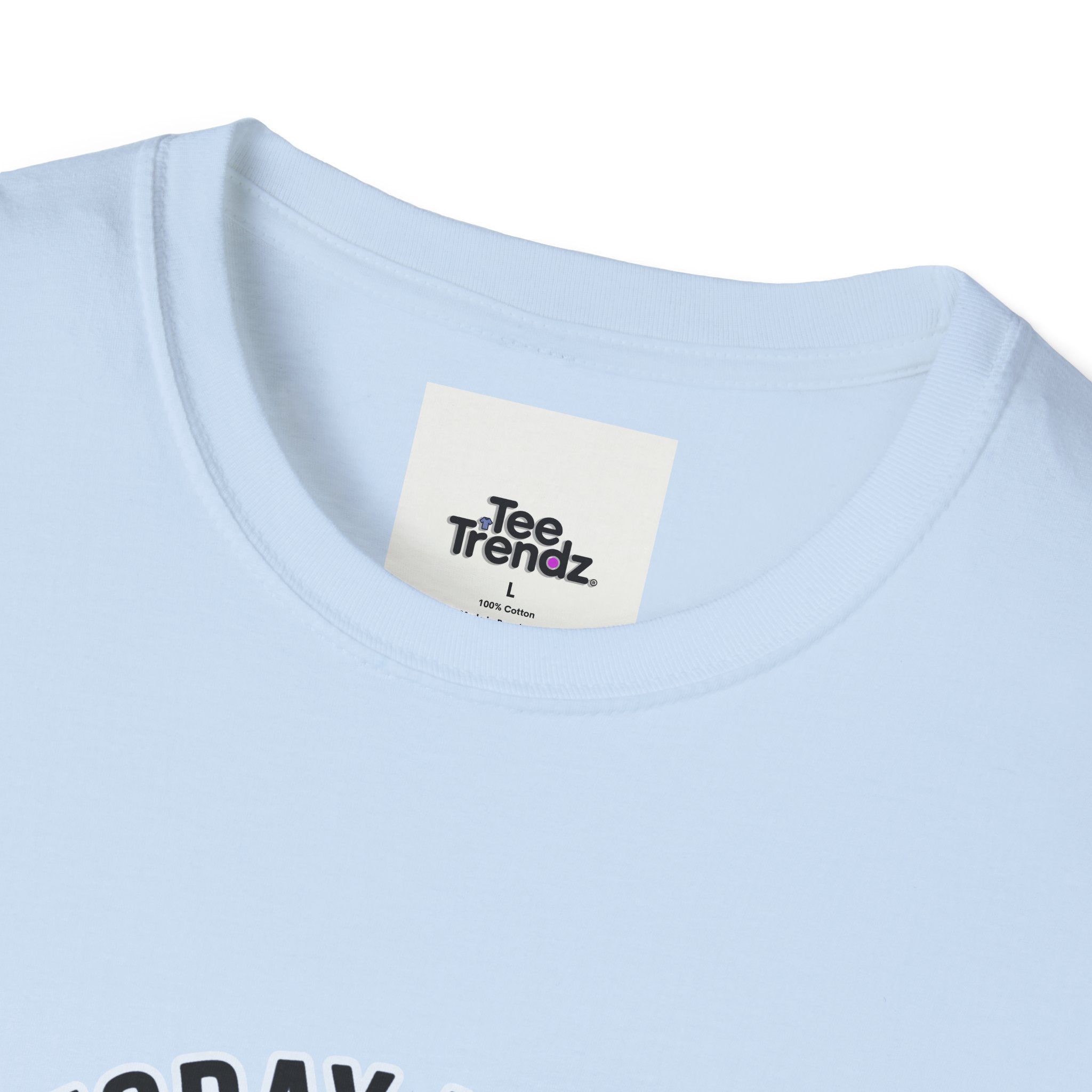 Serious Goose T-Shirt — "Today I'm a Serious Goose" Funny Graphic Tee