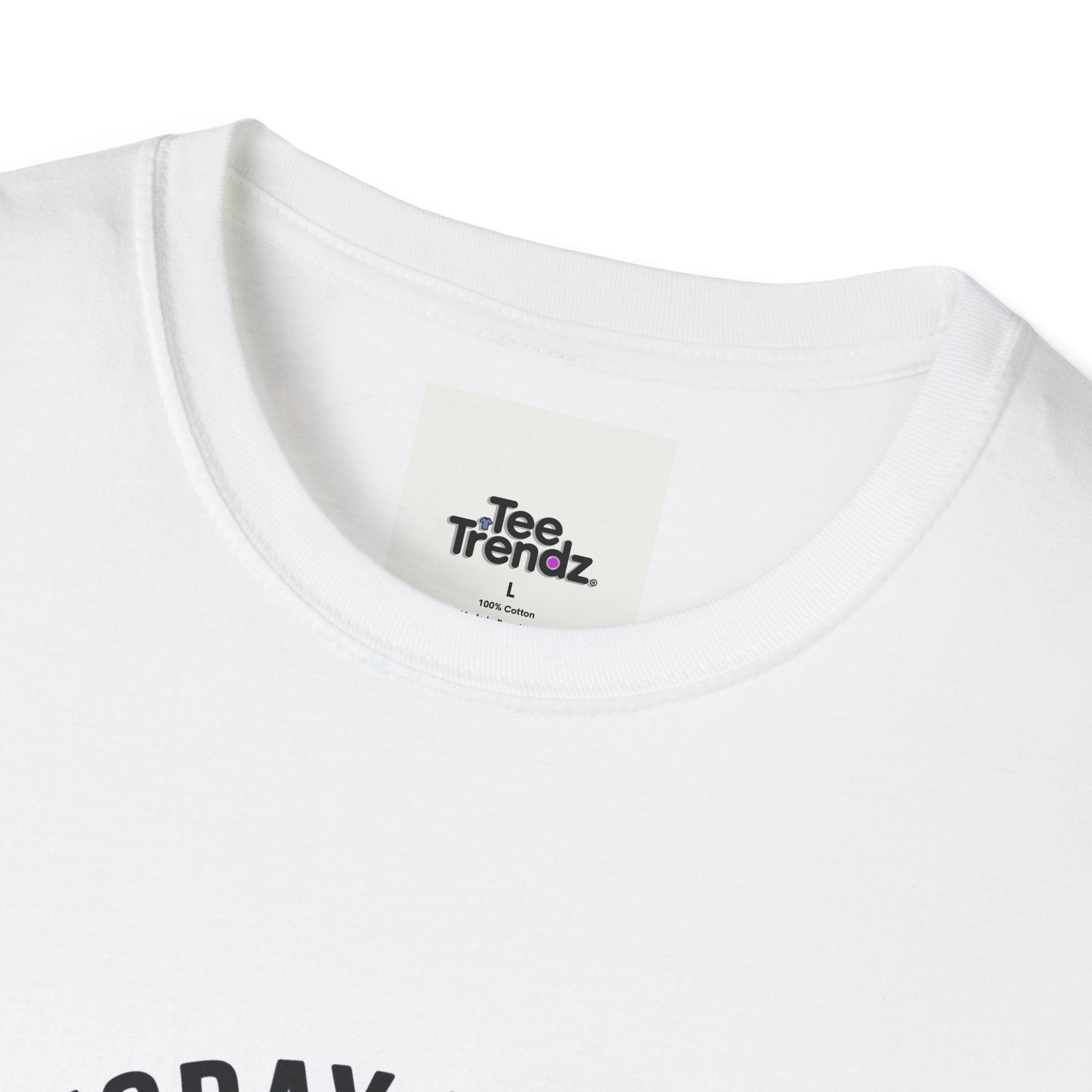 Serious Goose T-Shirt — "Today I'm a Serious Goose" Funny Graphic Tee