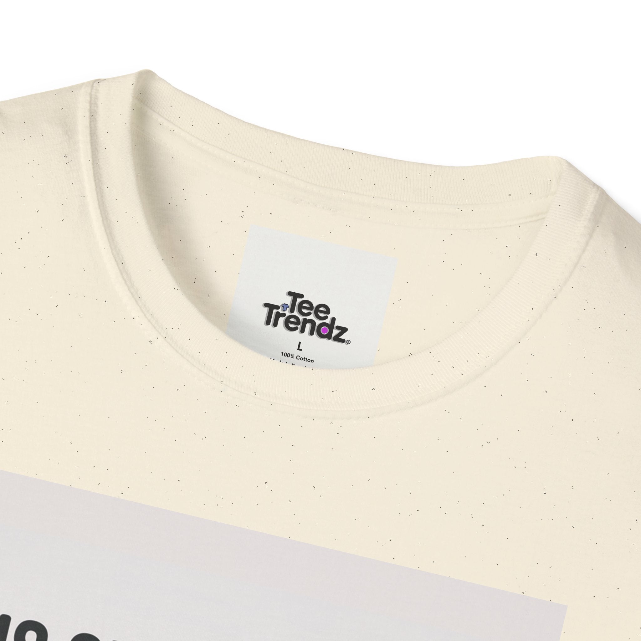 Funny Chicken T-Shirt — "This Shirt Is Cool Because There's A Chicken On It" Graphic Tee