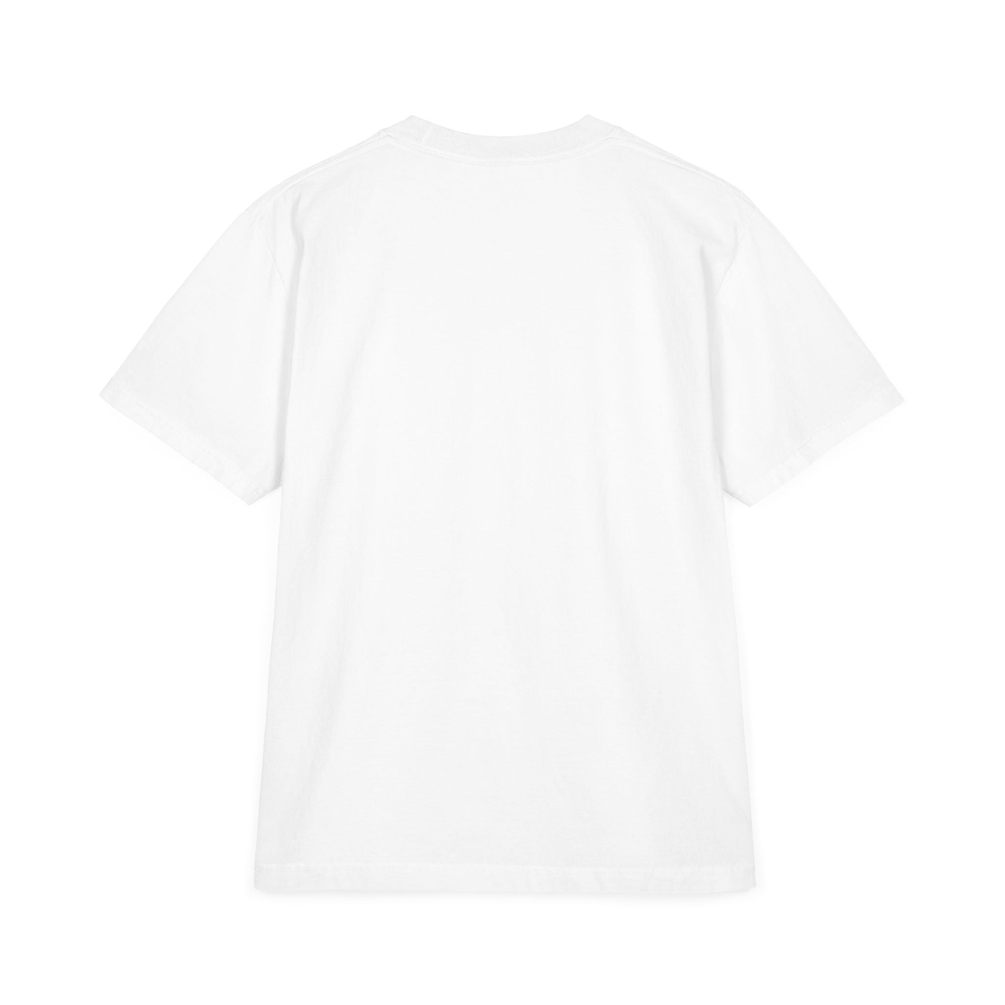 Later Skateboard Lion T-Shirt — "Later" Graphic Tee for Summer Vibes